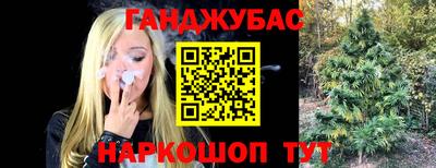 бошки Будённовск