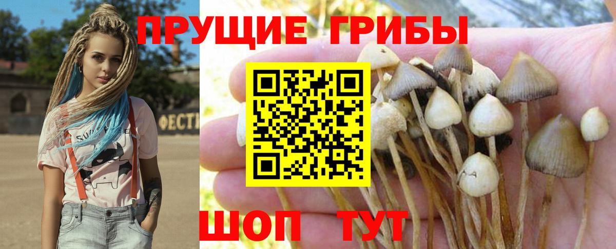 Галлюциногенные грибы MAGIC MUSHROOMS Семёнов