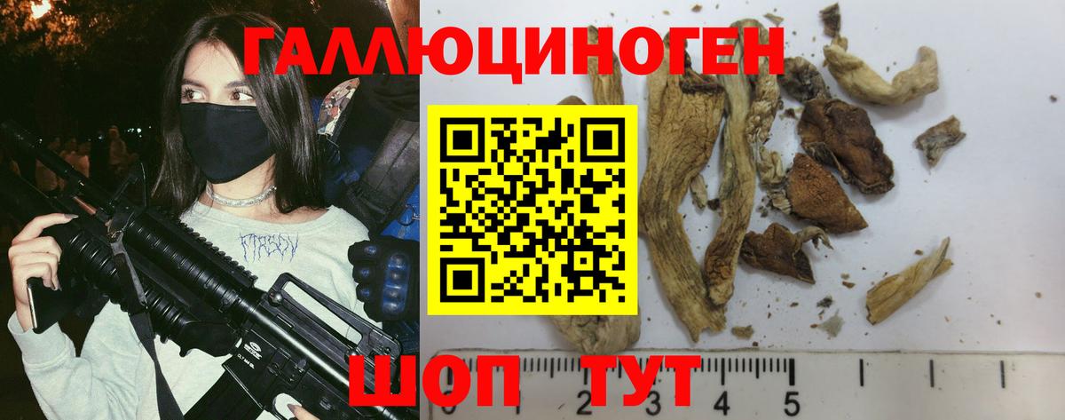 Семёнов  Псилоцибиновые грибы Psilocybe  Вход с VPN 